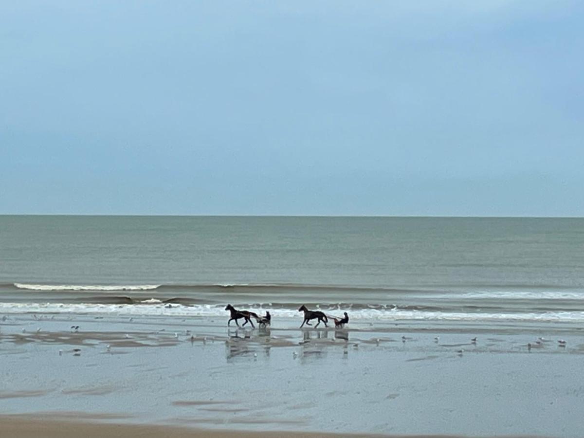 Agreable 2 Pieces. Face A La Mer. Cabourg Luaran gambar